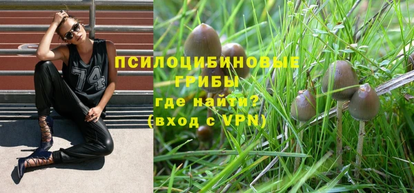 мескалин Арсеньев