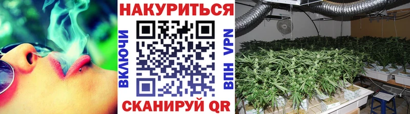 мориарти наркотические препараты  Приморско-Ахтарск  МАРИХУАНА сатива  где найти   блэк спрут ссылка 